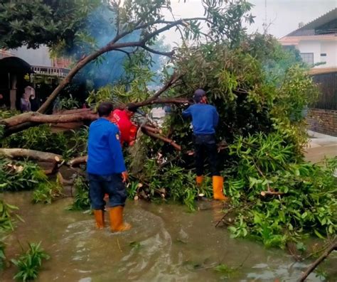 Bpbd Kota Tangerang Cepat Tanggap Tangani Banjir Dan Pohon Tumbang