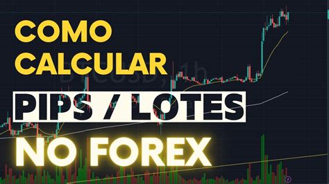 COMO CALCULAR PIPS E LOTES NO FOREX I SIMPLES E FÁCIL YouTube