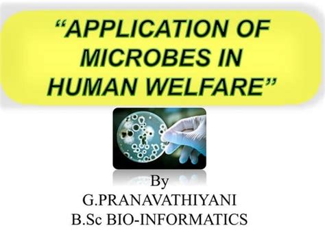 Harmful and Useful Microorganisms Presentation | PPTX 