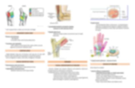 Solution General Anatomy Upper Limb Elbow Forearm And Wrist And