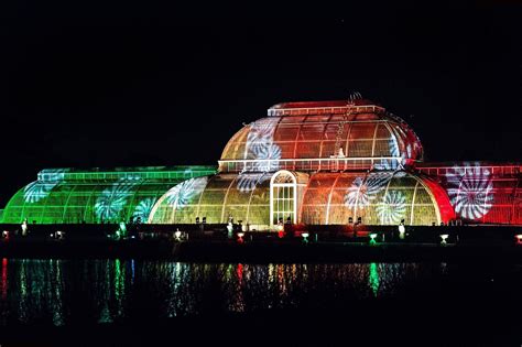 Christmas At Kew Gardens | See The First Festive Light Trail