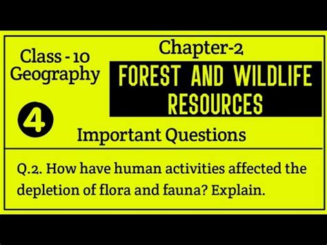 Q 2 How Have Human Activities Affected The Depletion Of Flora And