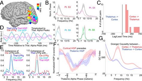 The Generation And Propagation Of The Human Alpha Rhythm Pnas