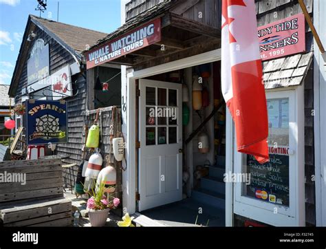 Whale watching tour office, St Andrews, New Brunswick Stock Photo - Alamy