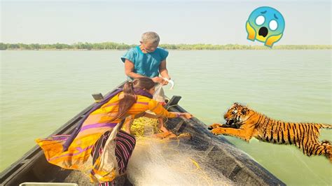 সুন্দরবনে বাঘের গল্পের 🐅সাথে মাছ ধরা😱🐟 Sundarban Fishing And Tiger