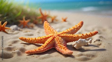 Sea Starfish An Artistic Interpretation Of A Sea Starfish Lying On A