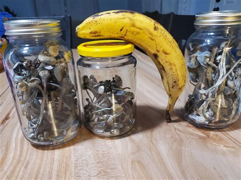 Does Dollar Tree Sell Rice at Claudia Aunger blog