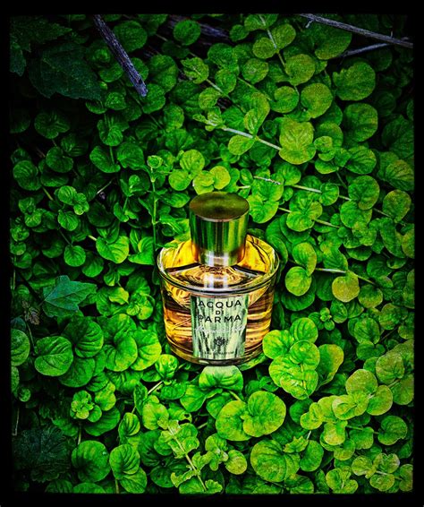 Acqua di Parma Magnolia Nobile Acqua di Parma perfume - a fragrance for ...