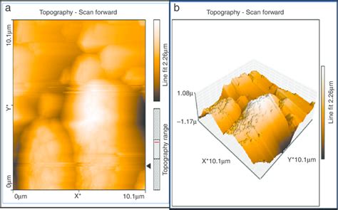 a) Two-Dimensional (2D) and (b) Three-dimensional (3D) AFM images of ...