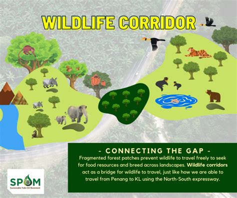 WILDLIFE CORRIDOR post – Malaysian Primatological Society