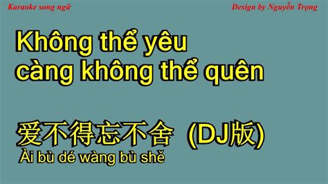 Karaoke 爱不得忘不舍 Dj版 Không Thể Yêu Càng Không Thể Quên Ai Bu De