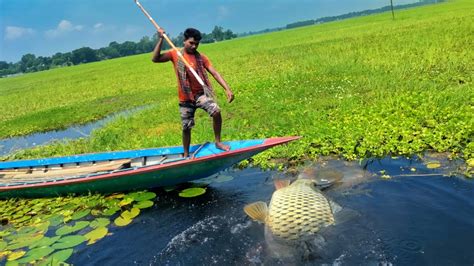 Unique Best Bowfishing From Boatbig Carf Fish Catching By Boat