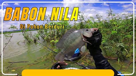 Spot Mancing Nyobok Di Wgm Bagian Selatan Masih Sangat Potensial Ikan