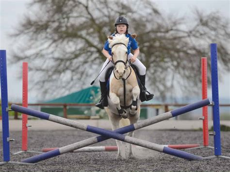 jumping pony magazine