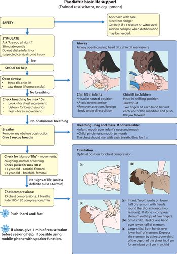 Discuss The Management Of Cardiac Arrest In Children Flashcards Quizlet