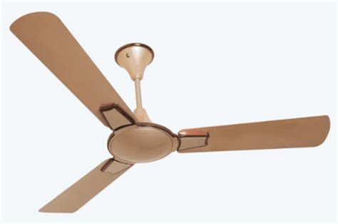 3 Blades Bldc Electrical Ceiling Fans 360 RPM At Rs 4050 Piece In