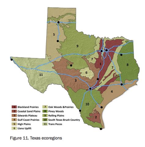 Status Update And Trends Of Texas Rural Working Lands By Texas Aandm