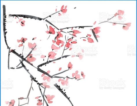 Japanese Cherry Blossom Painting. The beauty of the Japanese cherry ...