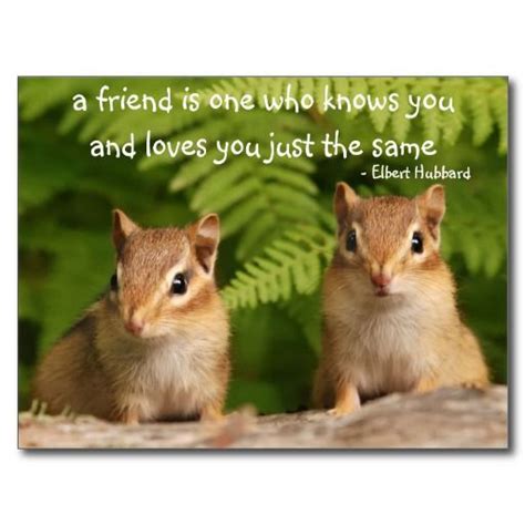 Funny Chipmunk Quotes - ShortQuotes.cc