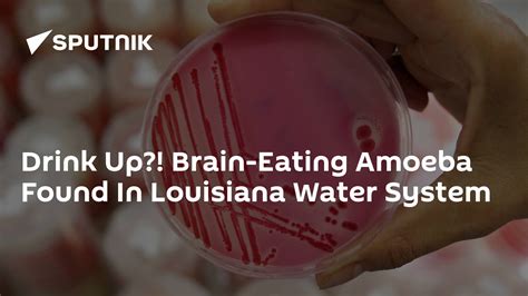 Drink Up Brain Eating Amoeba Found In Louisiana Water System 30062017 Sputnik International