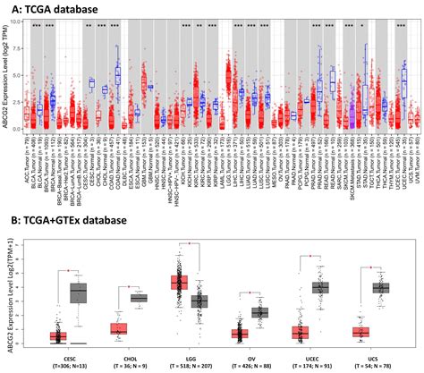 Ijms Free Full Text A Pan Cancer Landscape Of Abcg2 Across Human Cancers Friend Or Foe