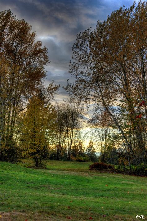 Free Images Landscape Tree Nature Forest Grass Cloud Sunset