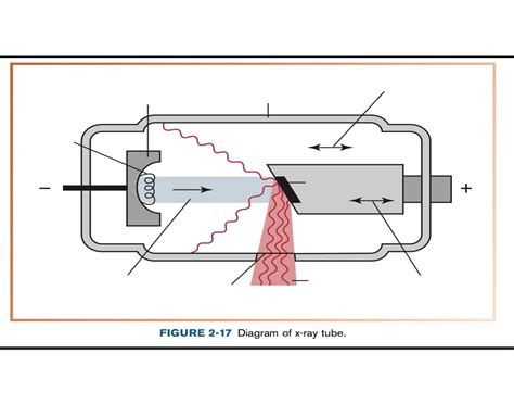 Parts of the X-ray tube Quiz