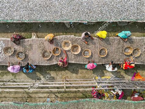 Fish Laid Out Dry Sun Bangladeshs Editorial Stock Photo Stock Image