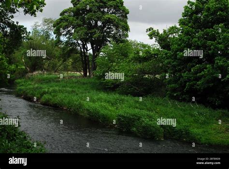 River Derwent Derwent Country Park Swalwell Gateshead Uk Stock