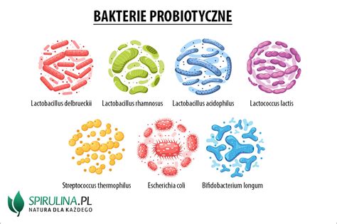 Bakterie Probiotyczne Algi Spirulina I Chlorella