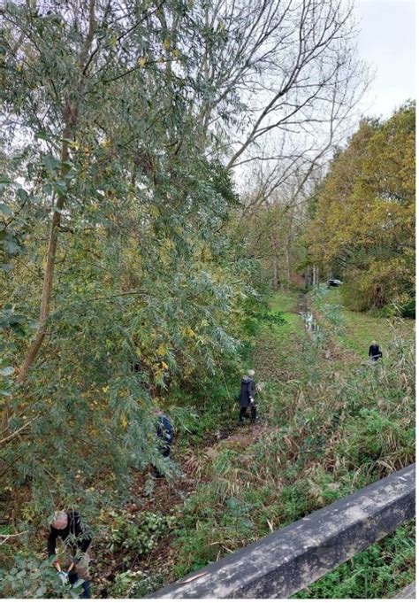 Onderhoudsploeg Herstelt Pad Langs Fietsbrug Natuur En