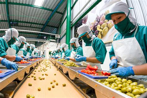 Qué Es HACCP Conozca Qué Es y Los Beneficios Para Su Empresa