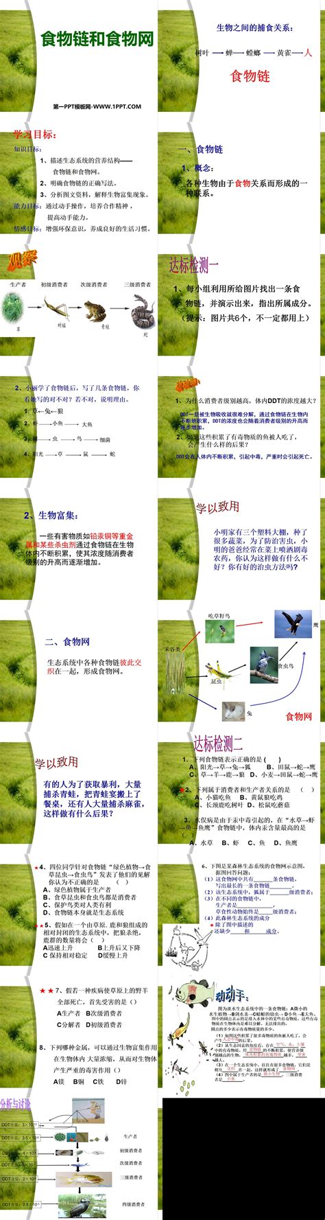 《食物链和食物网》生物与环境ppt课件2 教科版五年级科学上册