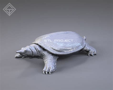 Soft Shelled Turtle free 3D model 3D printable | CGTrader