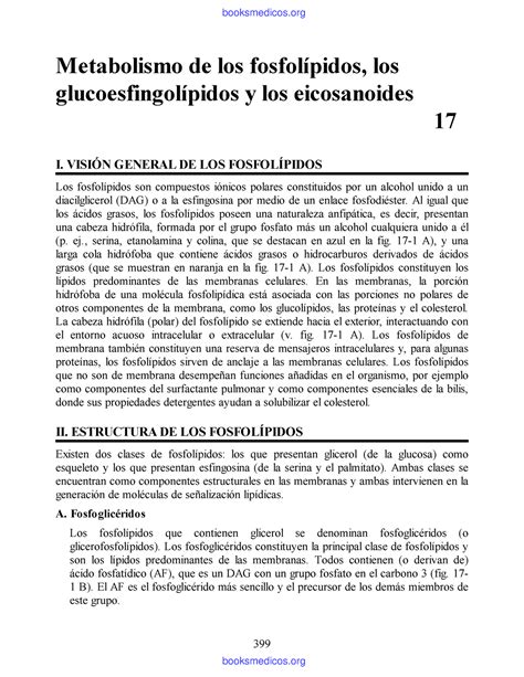 Metabolismo de los fosfolípidos Metabolismo de los fosfolípidos los