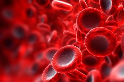 Final Analysis of the Phase 2 ELM-2 Study in Patients with DLBCL