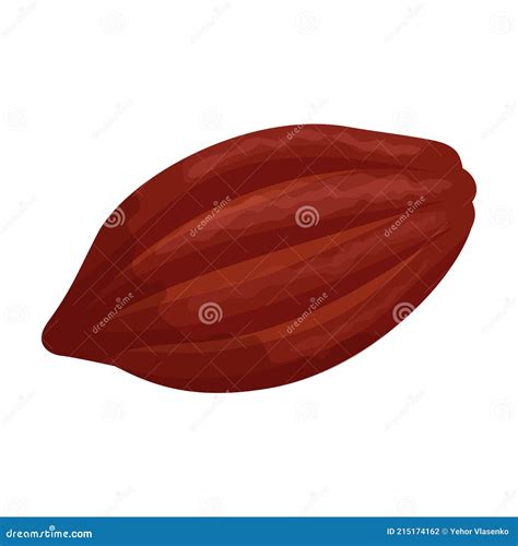 Cocoa Bean Isolated Cartoon Illustration Icon Vector Illustration