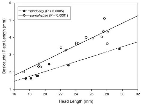 Bivariate Scatterplot And Linear Regression Lines Showing Relationship