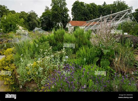 Botanischer Garten Germany Hi Res Stock Photography And Images Alamy