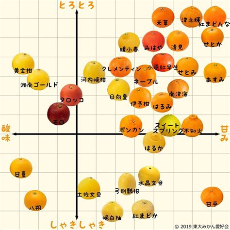 ミカン33品種を徹底解説！ 味の違いやおいしい食べ方を知ろう｜マイナビ農業