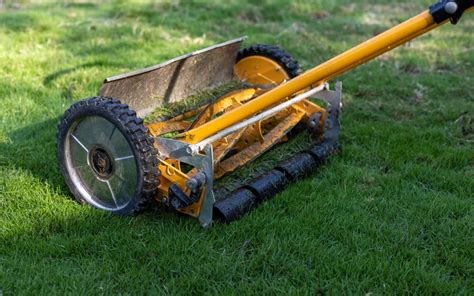 Tondeuses Pour Petits Jardins Manuelles Lectriques Ou Robots