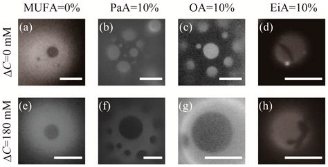 Control Of Line Tension At Phase Separated Lipid Domain Boundaries