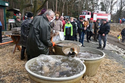 První zprávy Domácí Město Plzeň zahájí opět prodej stromků a kaprů