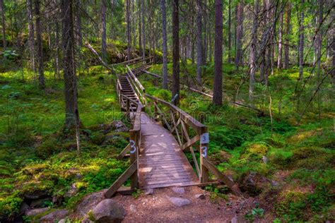 Natural Landscape of Helvetinjarvi National Park in Finland Stock Photo