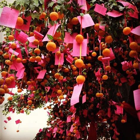 Chinese New Year Wishing Tree Tradition