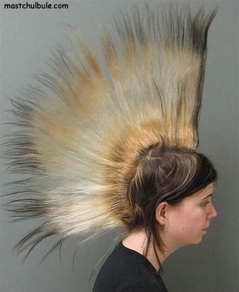 FUNJOSH: Craziest Hairstyles