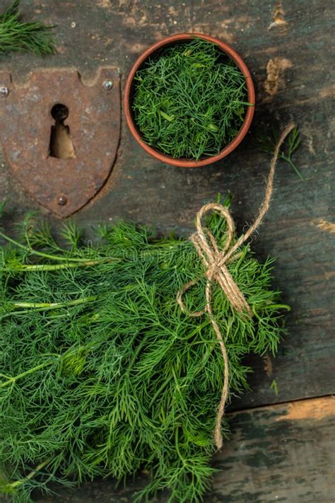 Bunch Fresh Green Dill From The Garden On The Old Wooden Table Dill In