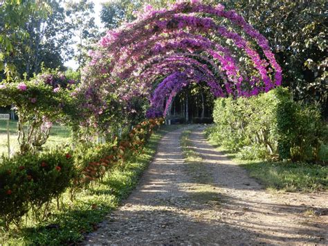 Belize Spice Farm And Botanical Garden Best Botanical Gardens In Belize