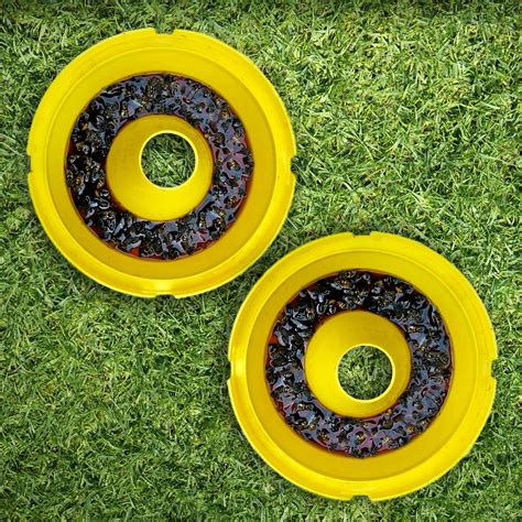 Entopest 1 x Wasp Nest Killer Trap and Bait Attractant Kit | Wasp Trap