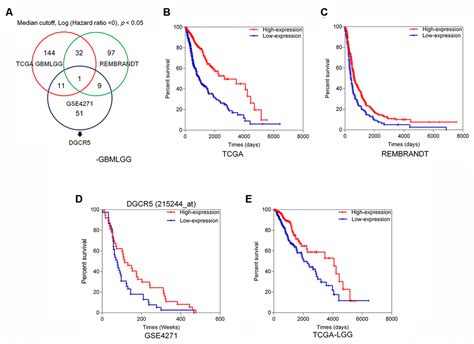 Lncrna Dgcr Plays A Tumor Suppressive Role In Glioma Via The Mir